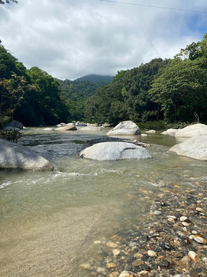 Wayanay Tayrona Eco Hostel Ель-Зайно Екстер'єр фото