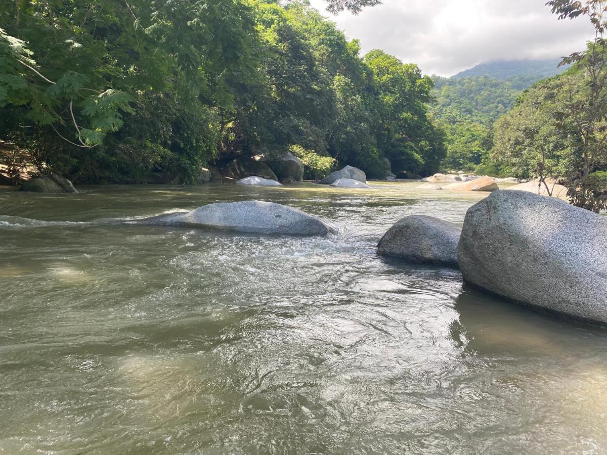 Wayanay Tayrona Eco Hostel Ель-Зайно Екстер'єр фото