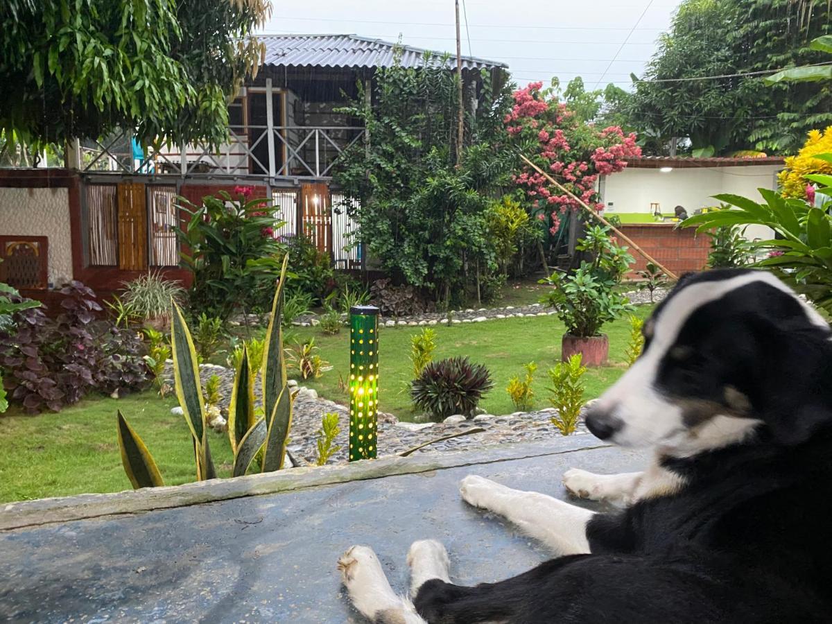 Wayanay Tayrona Eco Hostel Ель-Зайно Екстер'єр фото