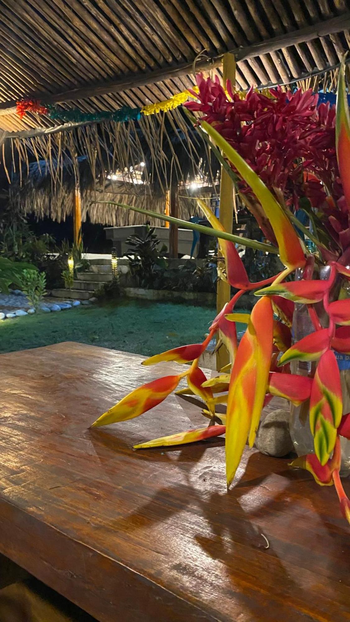 Wayanay Tayrona Eco Hostel Ель-Зайно Екстер'єр фото