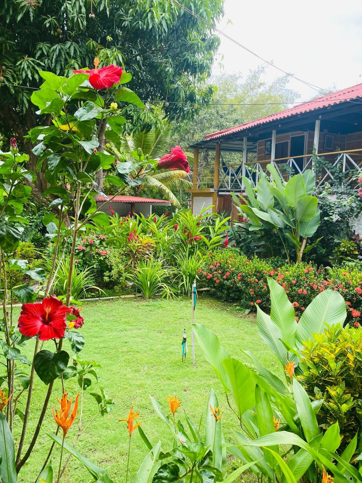 Wayanay Tayrona Eco Hostel Ель-Зайно Екстер'єр фото