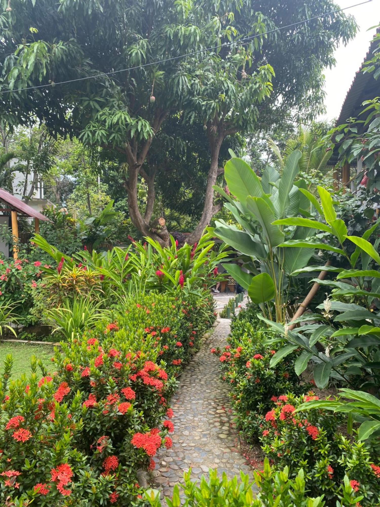 Wayanay Tayrona Eco Hostel Ель-Зайно Екстер'єр фото