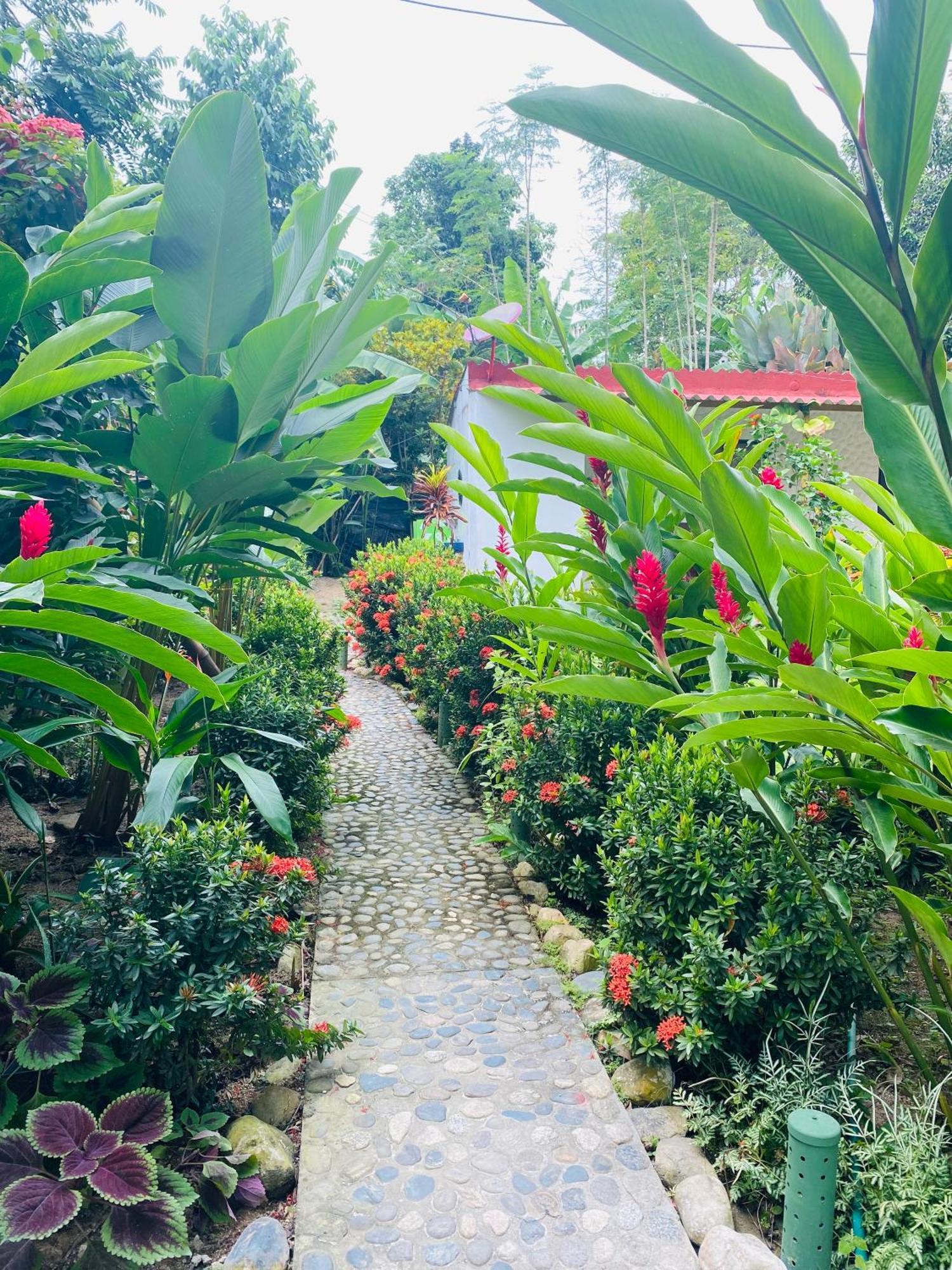 Wayanay Tayrona Eco Hostel Ель-Зайно Екстер'єр фото